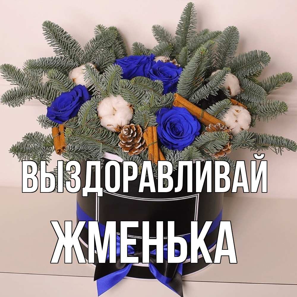 Открытка на каждый день с именем, Жменька Выздоравливай короче кто то загрузил эти шишки Прикольная открытка с пожеланием онлайн скачать бесплатно 