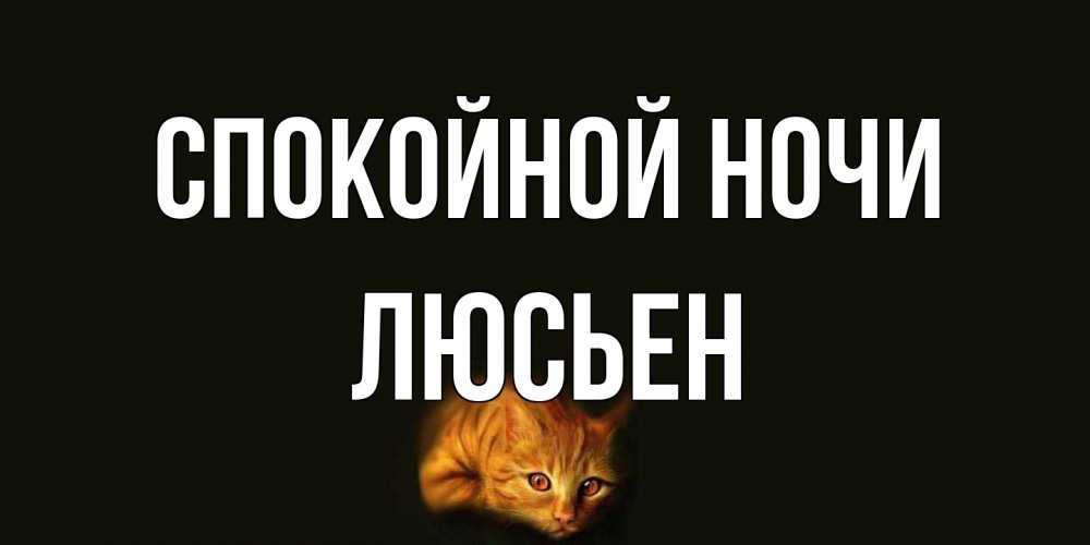 Открытка на каждый день с именем, Люсьен Спокойной ночи кот Прикольная открытка с пожеланием онлайн скачать бесплатно 
