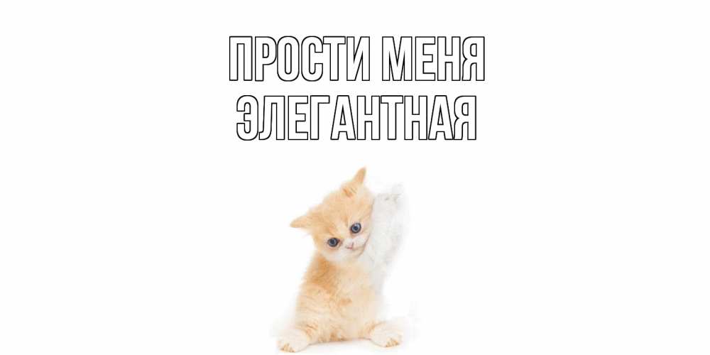 Открытка на каждый день с именем, элегантная Прости меня кот Прикольная открытка с пожеланием онлайн скачать бесплатно 