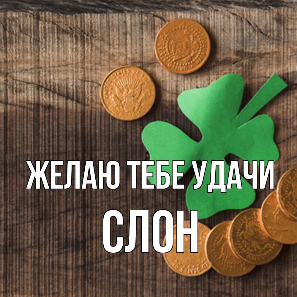 Открытка на каждый день с именем, Слон Желаю тебе удачи на удачу сегодня Прикольная открытка с пожеланием онлайн скачать бесплатно 