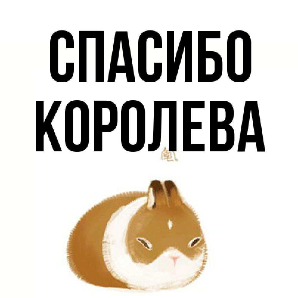 Открытка на каждый день с именем, королева Спасибо коричнево белый домашний питомец Прикольная открытка с пожеланием онлайн скачать бесплатно 