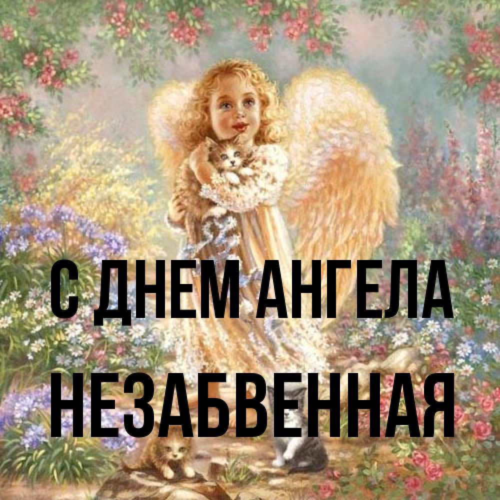 Открытка на каждый день с именем, незабвенная С днем ангела держит котенка Прикольная открытка с пожеланием онлайн скачать бесплатно 