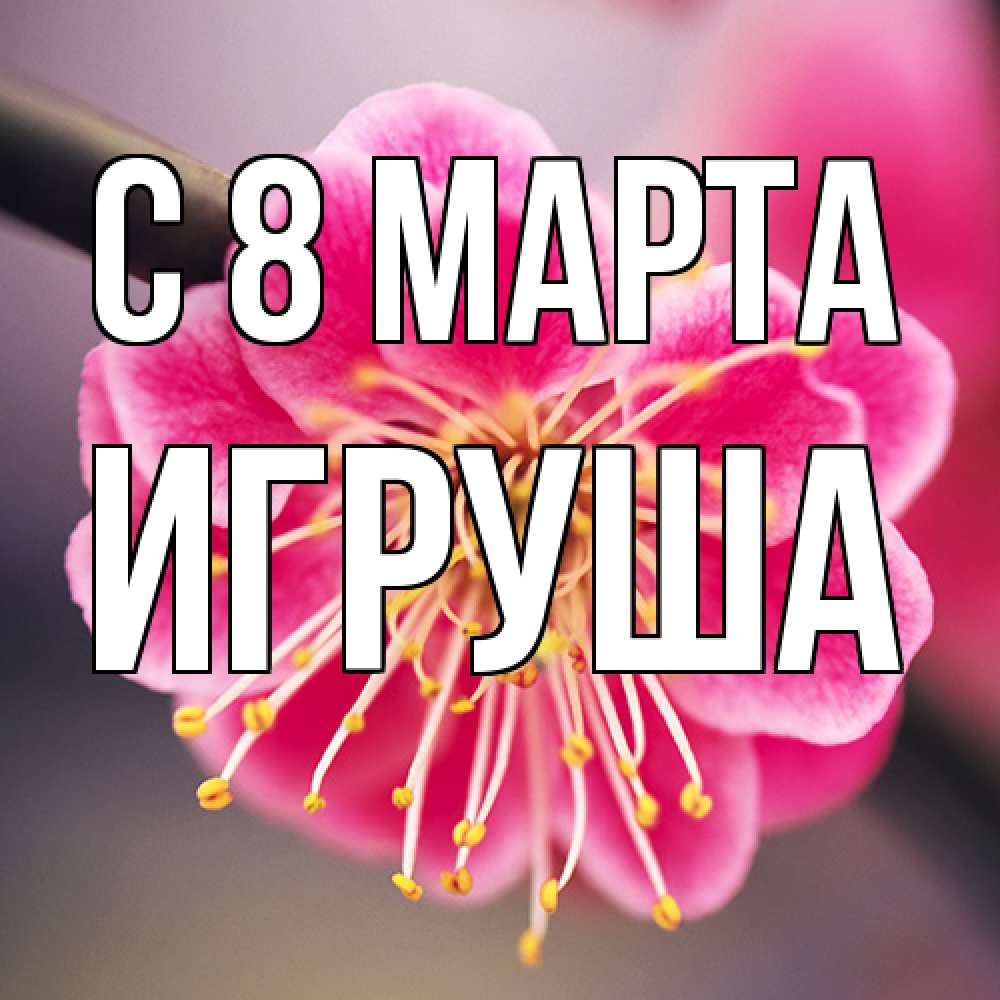 Открытка на каждый день с именем, Игруша C 8 МАРТА цветы Прикольная открытка с пожеланием онлайн скачать бесплатно 