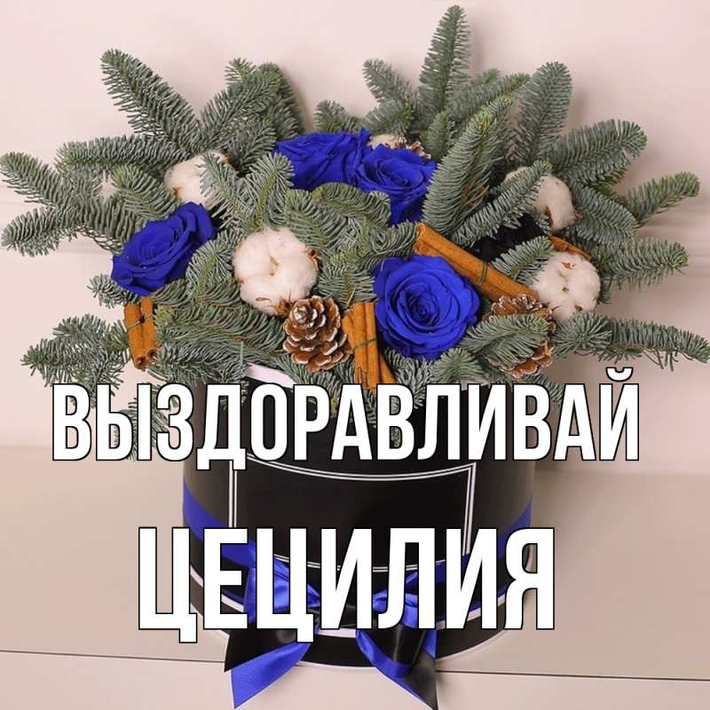 Картинка Выздоравливай, Цецилия