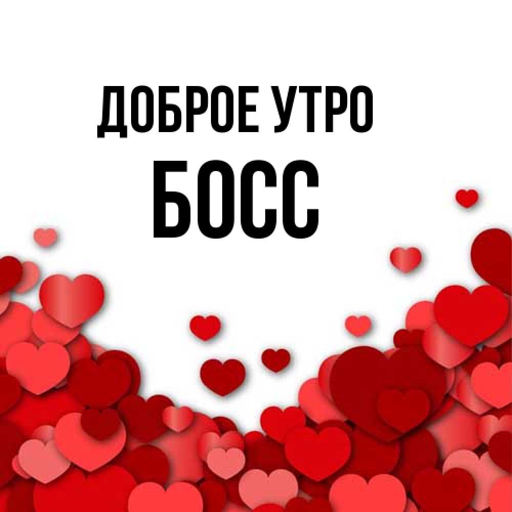 Открытка на каждый день с именем, Босс Доброе утро хорошего настроения Прикольная открытка с пожеланием онлайн скачать бесплатно 