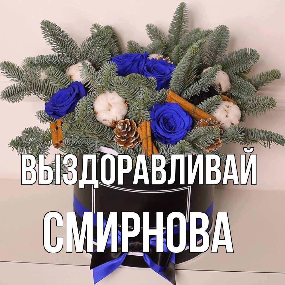 Открытка на каждый день с именем, Смирнова Выздоравливай короче кто то загрузил эти шишки Прикольная открытка с пожеланием онлайн скачать бесплатно 