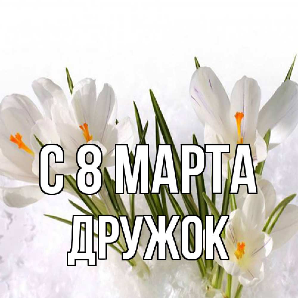Открытка на каждый день с именем, Дружок C 8 МАРТА под снегом Прикольная открытка с пожеланием онлайн скачать бесплатно 