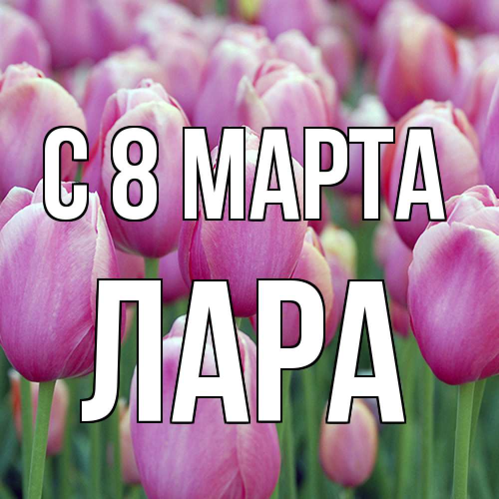 Открытка на каждый день с именем, Лара C 8 МАРТА на международный женский день 3 Прикольная открытка с пожеланием онлайн скачать бесплатно 