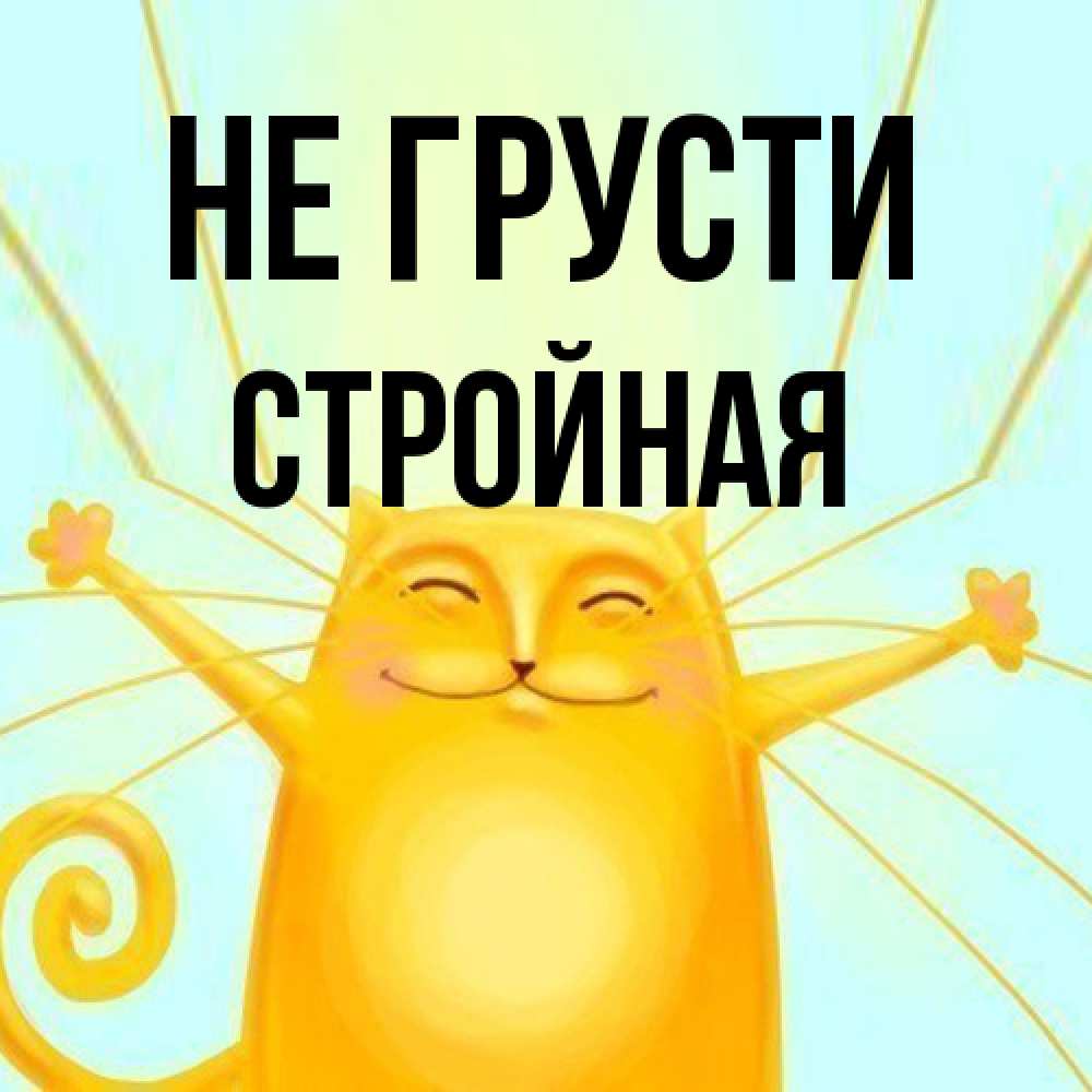 Открытка на каждый день с именем, Стpойная Не грусти обнимашки усатые Прикольная открытка с пожеланием онлайн скачать бесплатно 