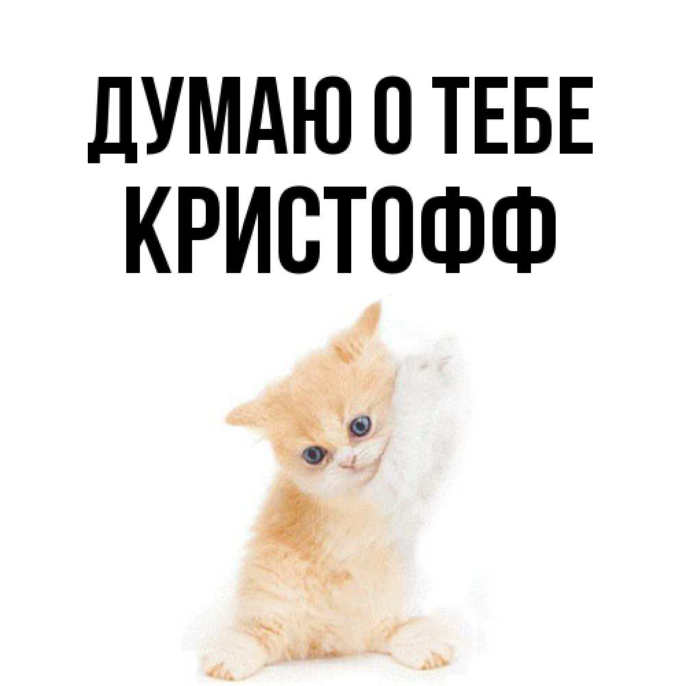 Открытка на каждый день с именем, Кристофф Думаю о тебе зверушки и милота Прикольная открытка с пожеланием онлайн скачать бесплатно 