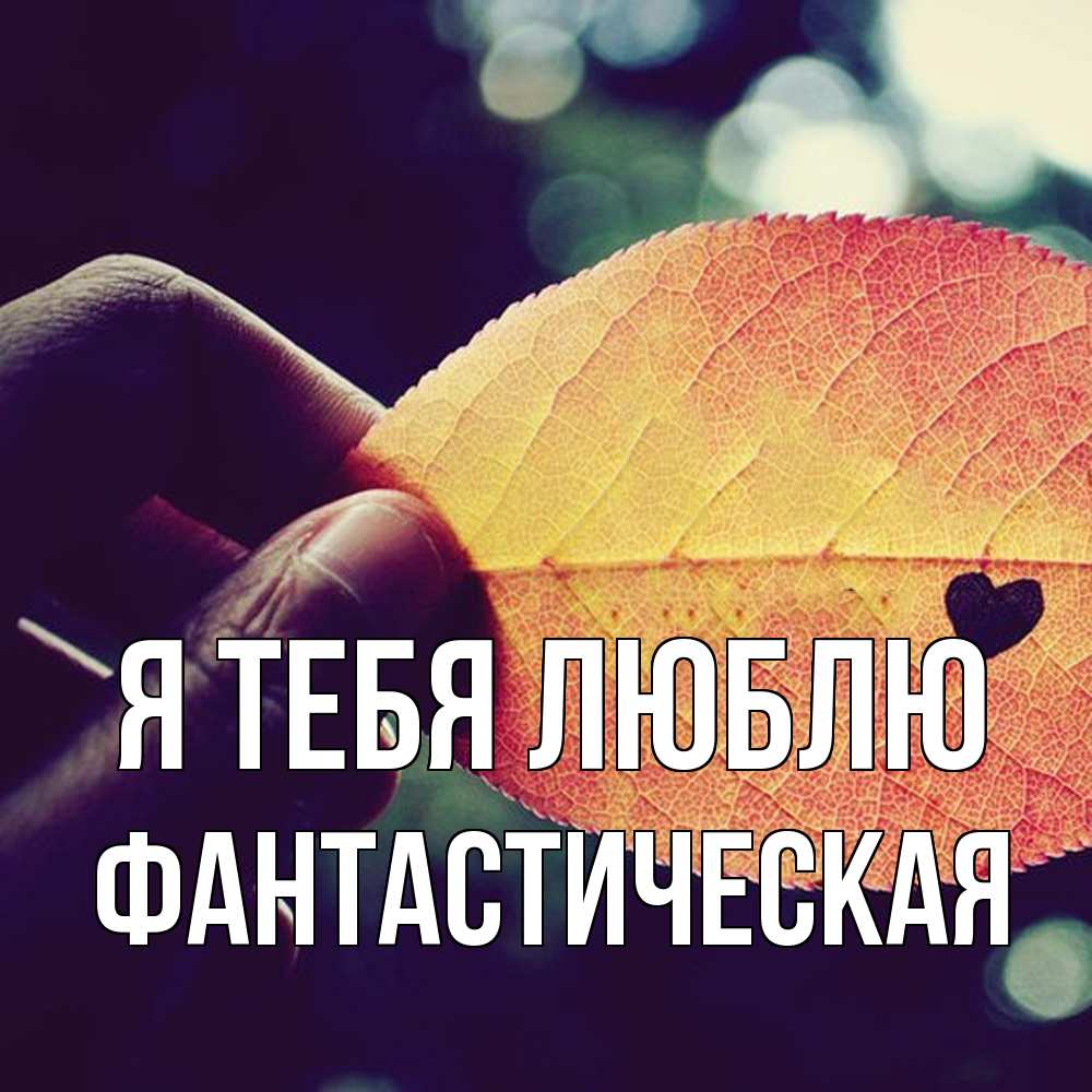 Открытка на каждый день с именем, Фантастическая Я тебя люблю держу лист Прикольная открытка с пожеланием онлайн скачать бесплатно 