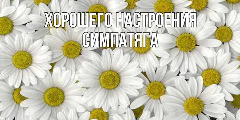 Картинка Хорошего настроения, Симпатяга