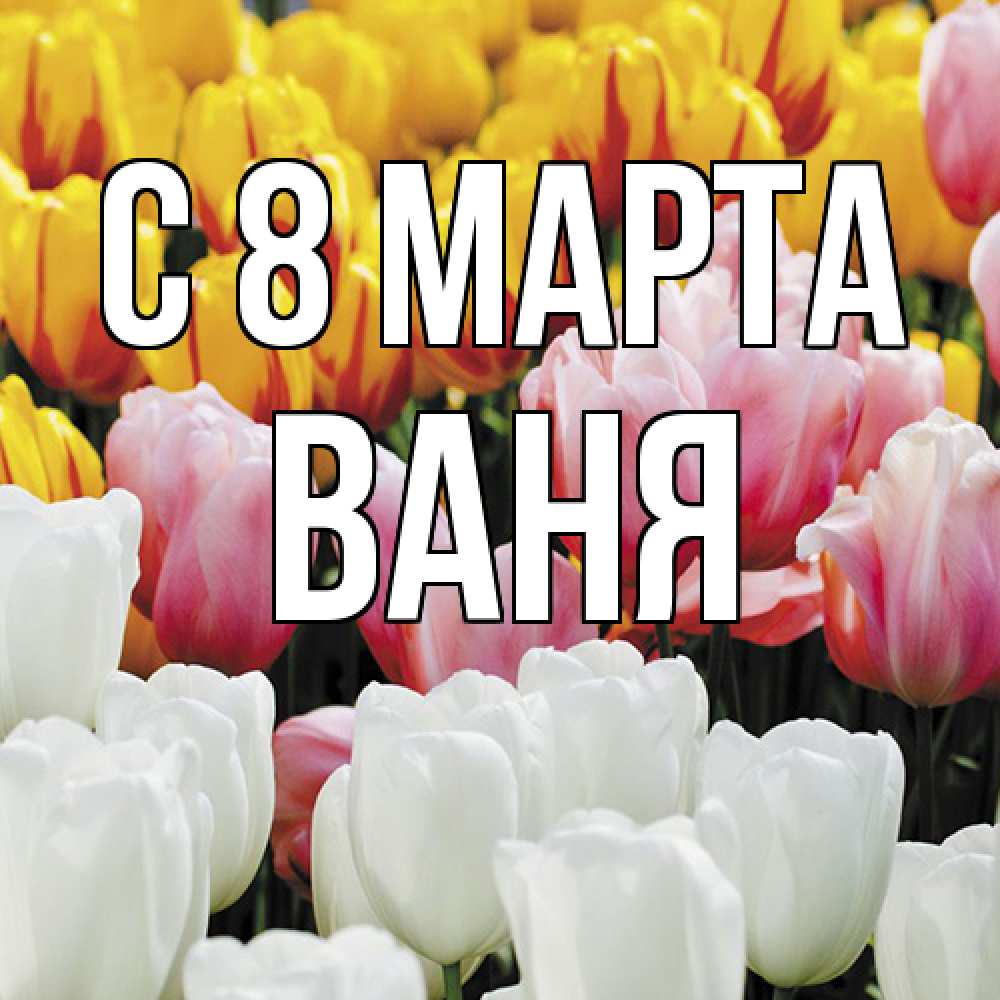 Открытка на каждый день с именем, Ваня C 8 МАРТА разноцветные цветы Прикольная открытка с пожеланием онлайн скачать бесплатно 