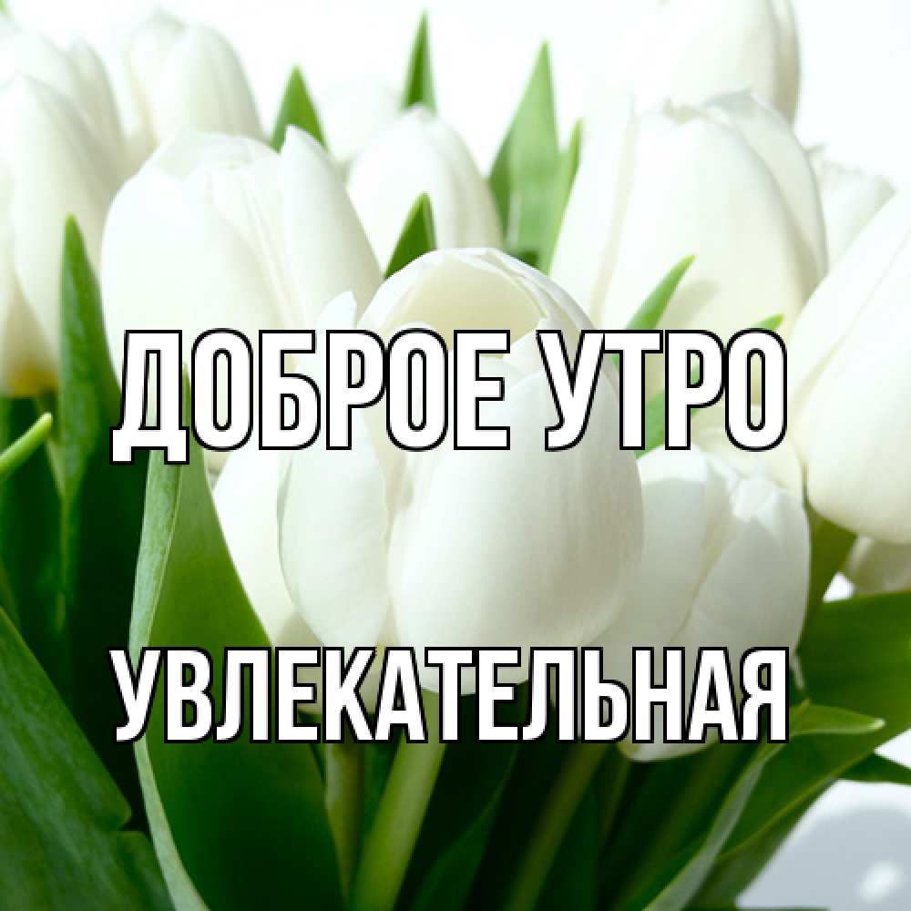 Открытка на каждый день с именем, Увлекательная Доброе утро открытки на каждый день по именам Прикольная открытка с пожеланием онлайн скачать бесплатно 