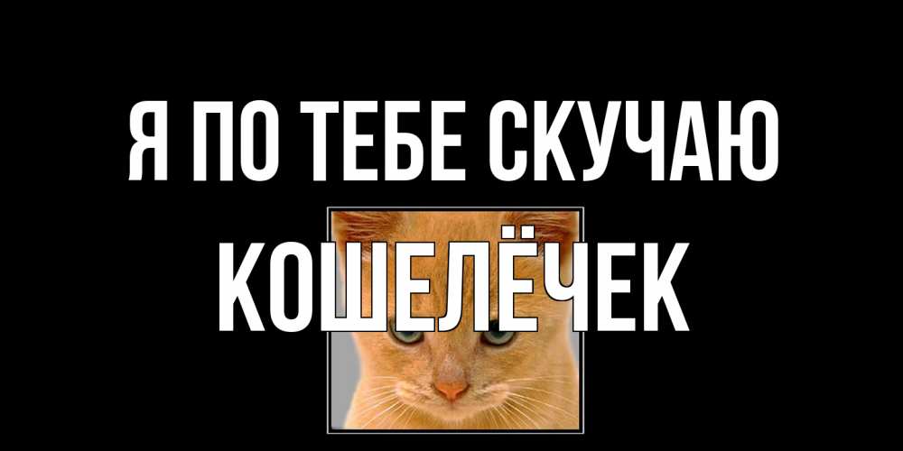 Открытка на каждый день с именем, кошелёчек Я по тебе скучаю открытки рыжий котенок скучает по тебе Прикольная открытка с пожеланием онлайн скачать бесплатно 