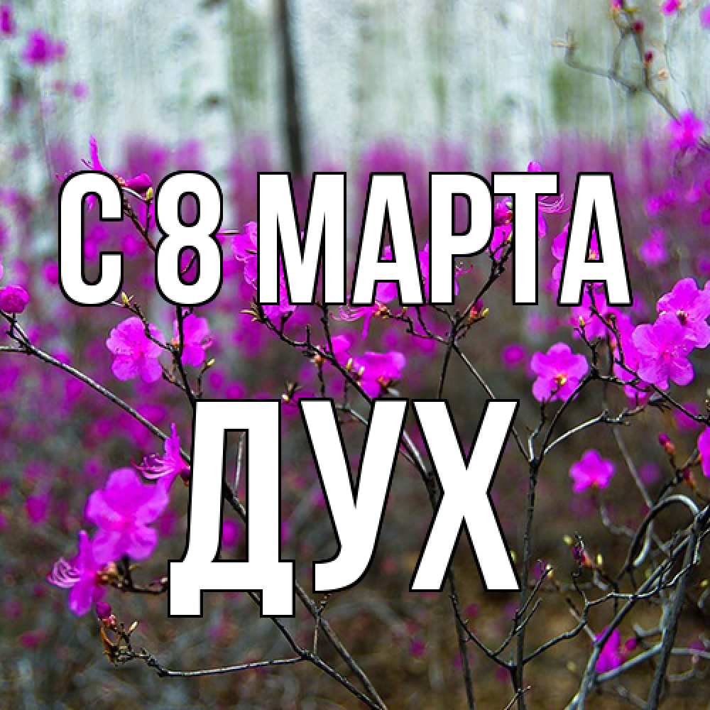 Открытка на каждый день с именем, Дух C 8 МАРТА дикие цветы Прикольная открытка с пожеланием онлайн скачать бесплатно 