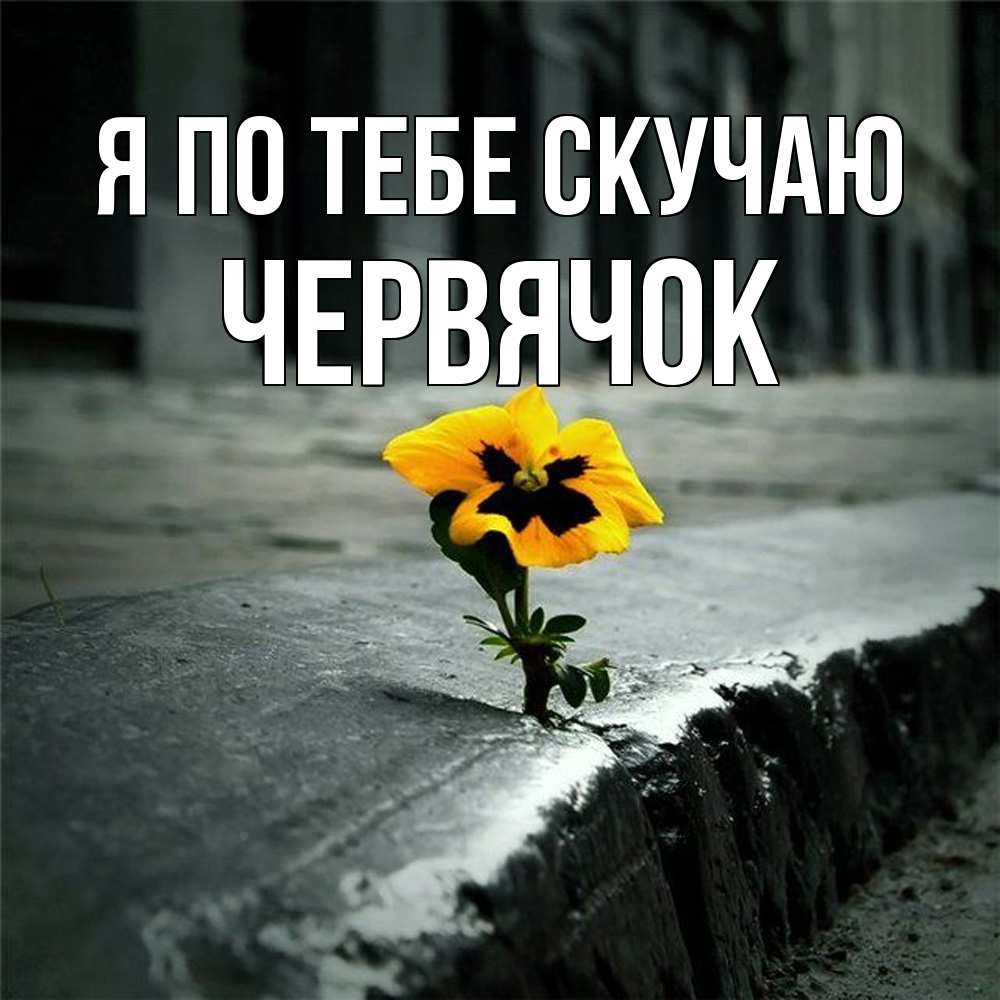 Открытка на каждый день с именем, Червячок Я по тебе скучаю надеюсь будет лучше Прикольная открытка с пожеланием онлайн скачать бесплатно 