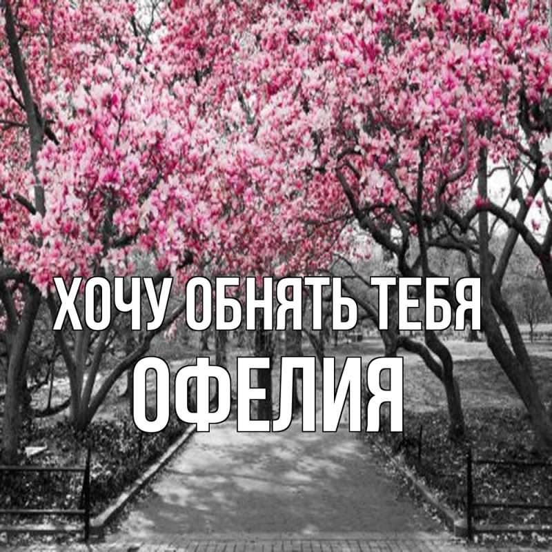 Картинка Хочу обнять тебя, Офелия