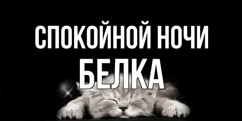 Картинка Спокойной ночи, Белка