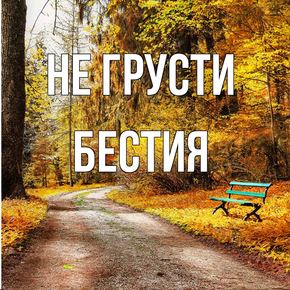 Открытка на каждый день с именем, Бестия Не грусти зеленая лавочка Прикольная открытка с пожеланием онлайн скачать бесплатно 