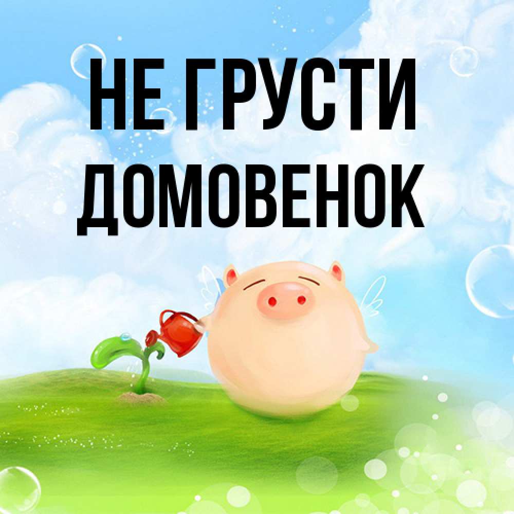 Открытка на каждый день с именем, Домовенок Не грусти поливает цветок порося Прикольная открытка с пожеланием онлайн скачать бесплатно 