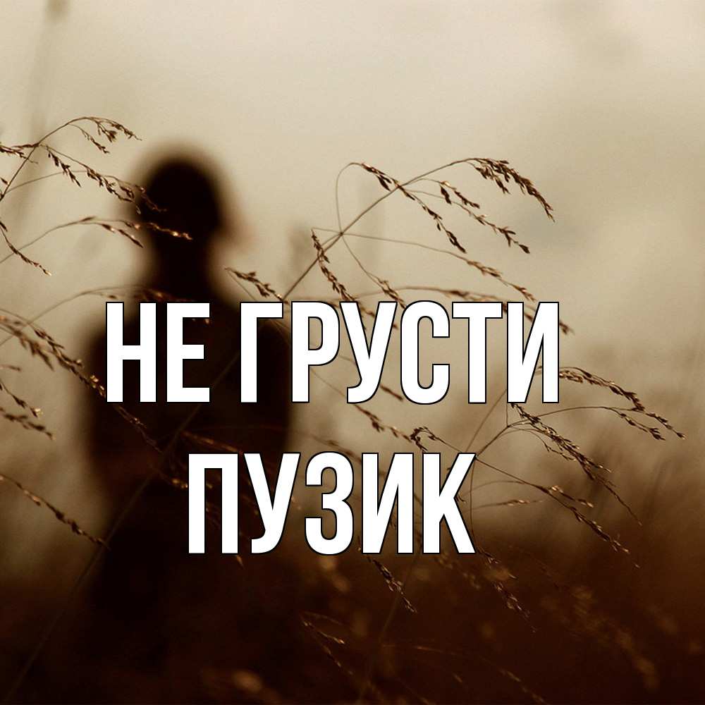 Открытка на каждый день с именем, Пузик Не грусти грусть Прикольная открытка с пожеланием онлайн скачать бесплатно 