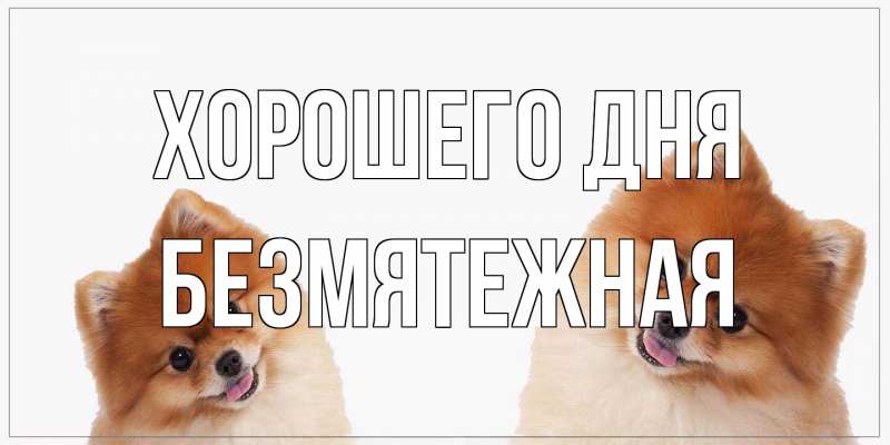 Открытка с именем, безмятежная, Хорошего дня