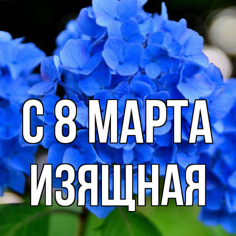 Открытка на каждый день с именем, Изящная C 8 МАРТА синие цветы Прикольная открытка с пожеланием онлайн скачать бесплатно 