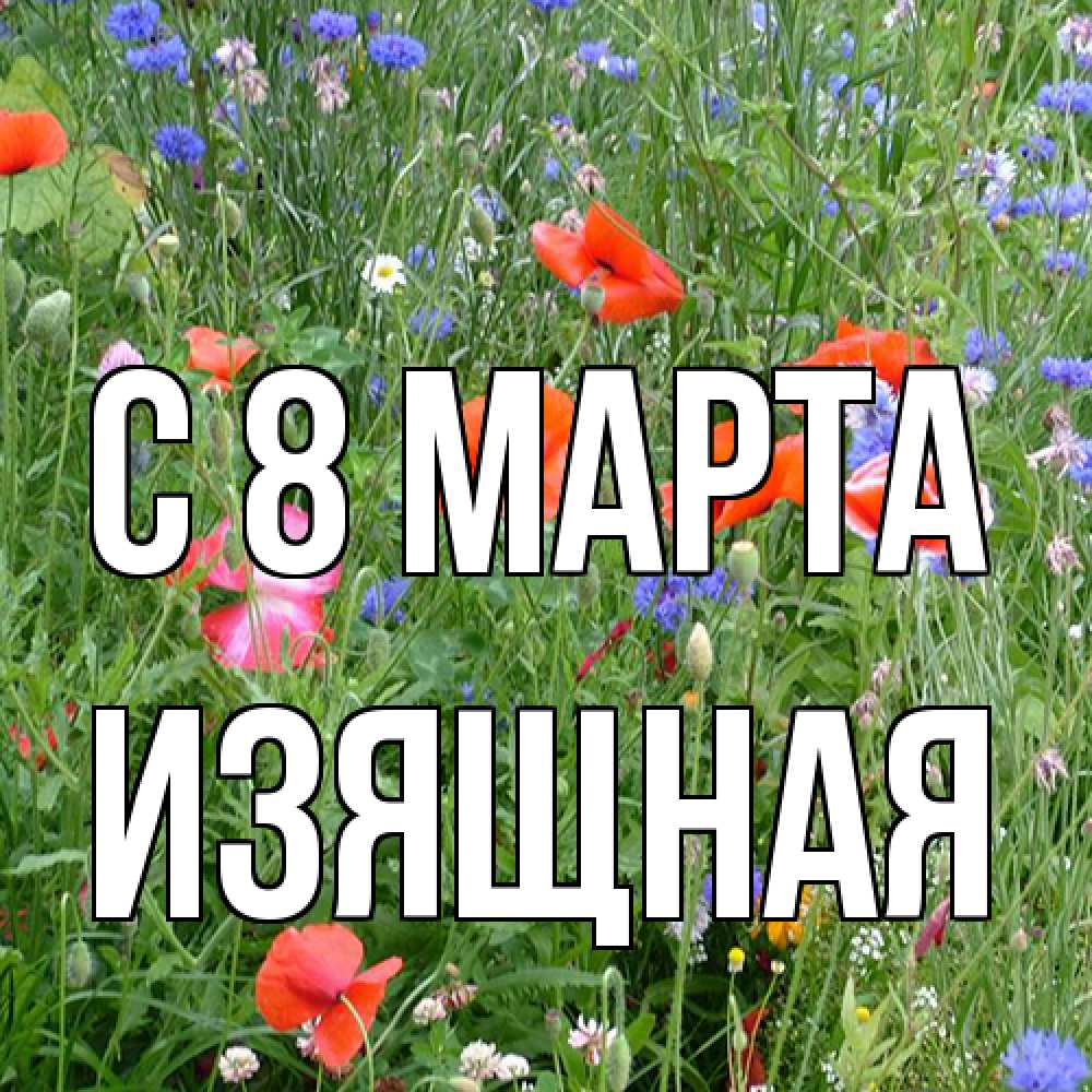 Открытка на каждый день с именем, Изящная C 8 МАРТА международный женский день 4 Прикольная открытка с пожеланием онлайн скачать бесплатно 