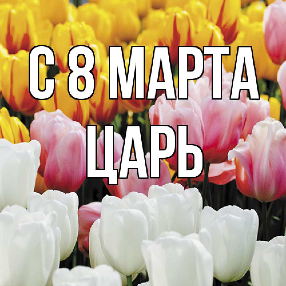 Открытка на каждый день с именем, Царь C 8 МАРТА разноцветные цветы Прикольная открытка с пожеланием онлайн скачать бесплатно 