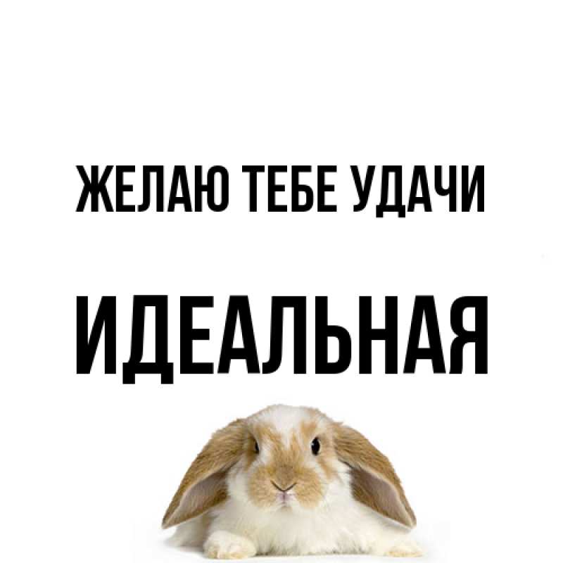 Открытка с именем, идеальная, Желаю тебе удачи