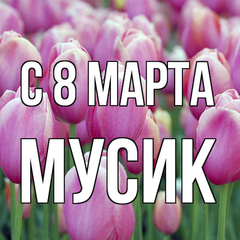 Картинка C 8 МАРТА, мусик