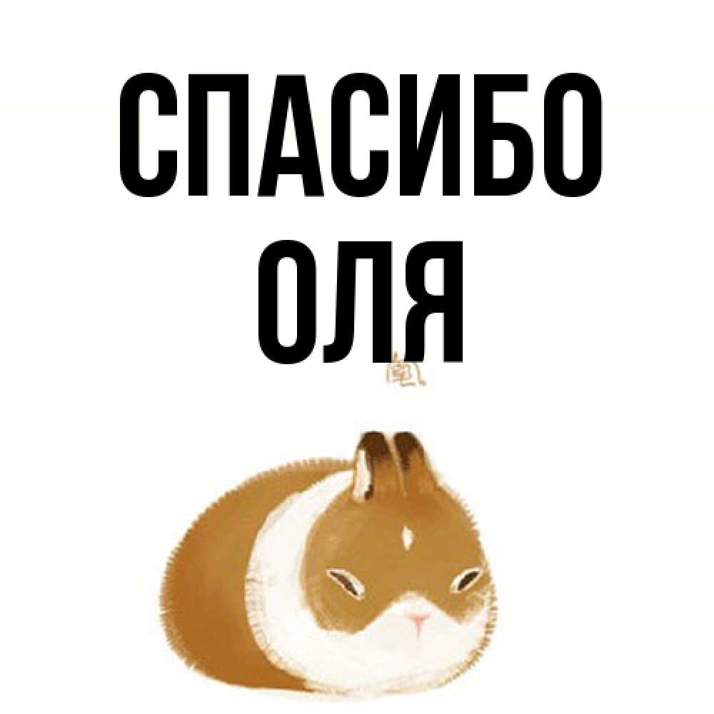 Открытка на каждый день с именем, Оля Спасибо коричнево белый домашний питомец Прикольная открытка с пожеланием онлайн скачать бесплатно 