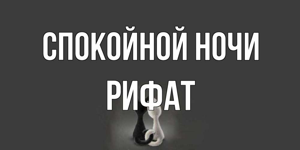 Открытка на каждый день с именем, Рифат Спокойной ночи коты Прикольная открытка с пожеланием онлайн скачать бесплатно 