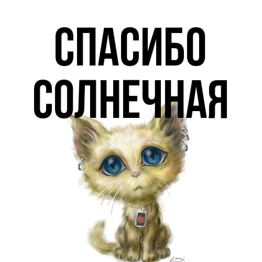 Открытка на каждый день с именем, солнечная Спасибо рисованный кот благодарит вас Прикольная открытка с пожеланием онлайн скачать бесплатно 
