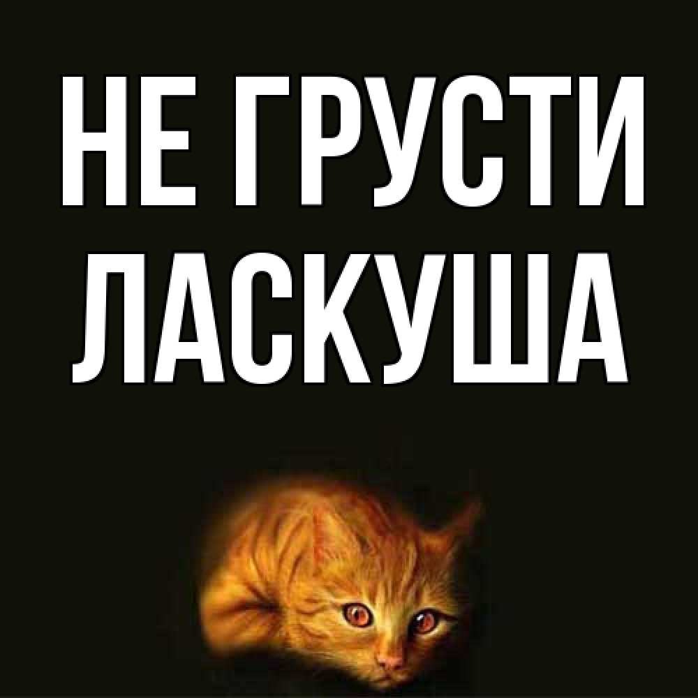 Открытка на каждый день с именем, ласкуша Не грусти лежащий кот в темноте Прикольная открытка с пожеланием онлайн скачать бесплатно 