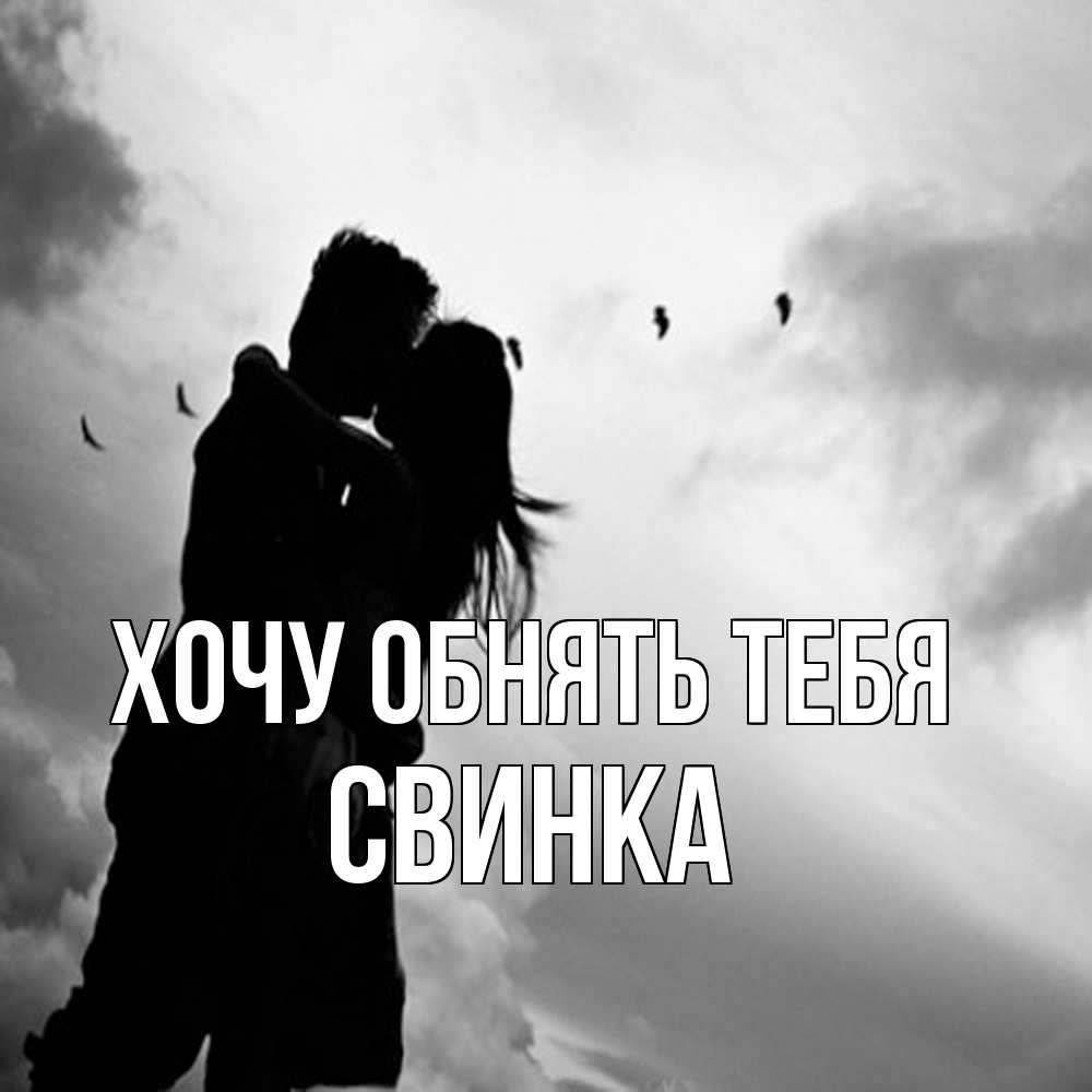 Открытка на каждый день с именем, Свинка Хочу обнять тебя летят птицы Прикольная открытка с пожеланием онлайн скачать бесплатно 