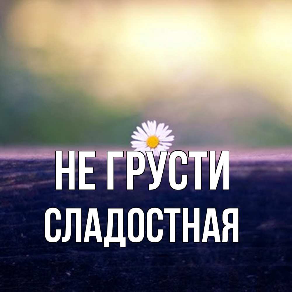 Открытка на каждый день с именем, Сладостная Не грусти красота Прикольная открытка с пожеланием онлайн скачать бесплатно 