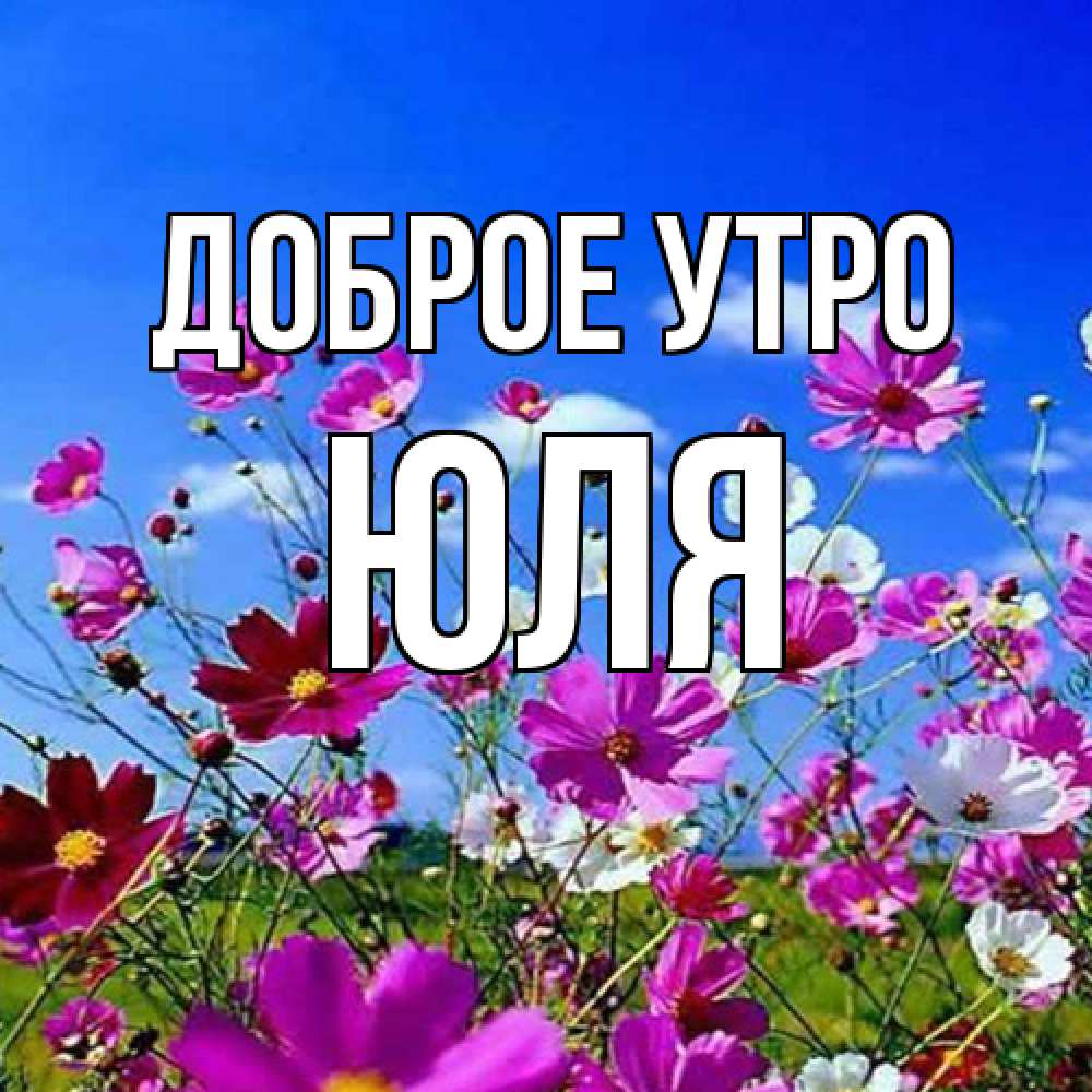 Открытка на каждый день с именем, Юля Доброе утро сиреневые цветы Прикольная открытка с пожеланием онлайн скачать бесплатно 