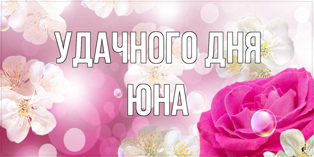 Открытка на каждый день с именем, Юна Удачного дня красивые цветы Прикольная открытка с пожеланием онлайн скачать бесплатно 