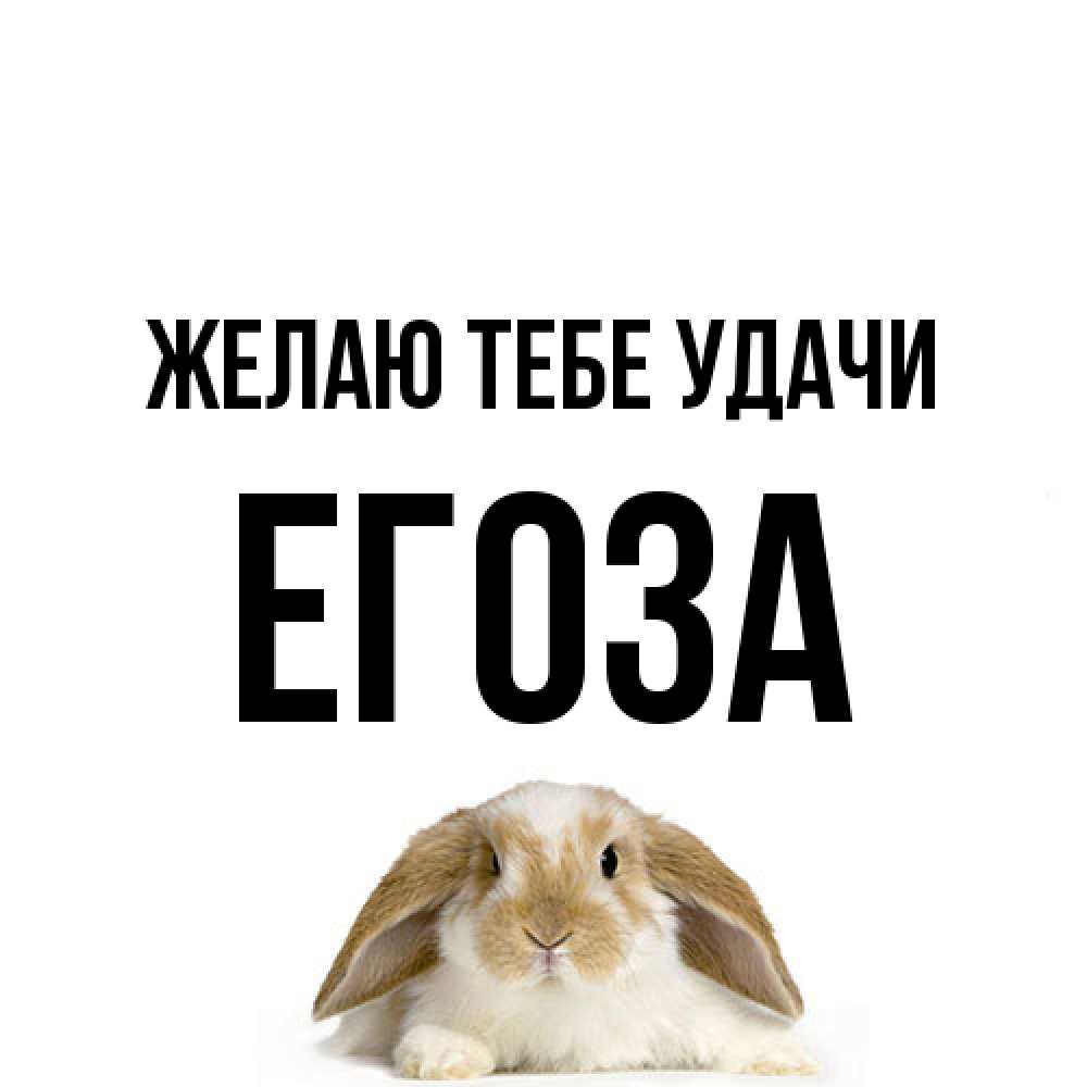 Открытка на каждый день с именем, егоза Желаю тебе удачи открытки с произвольным текстом который можно вставить в открытку и создать ее самостоятельно бесплатно онлайн Прикольная открытка с пожеланием онлайн скачать бесплатно 