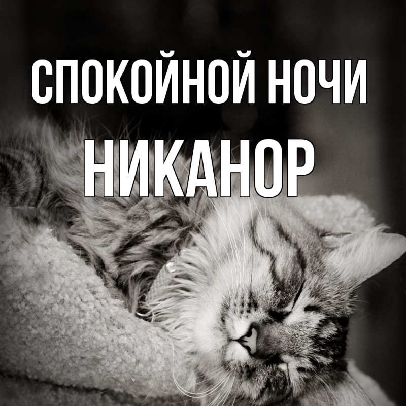 Картинка Спокойной ночи, Никанор