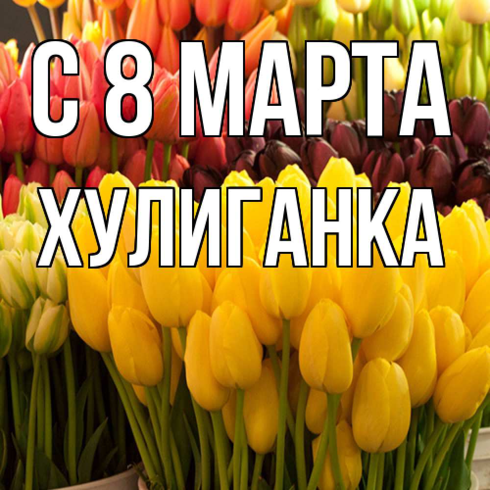 Открытка на каждый день с именем, Хулиганка C 8 МАРТА цветы Прикольная открытка с пожеланием онлайн скачать бесплатно 