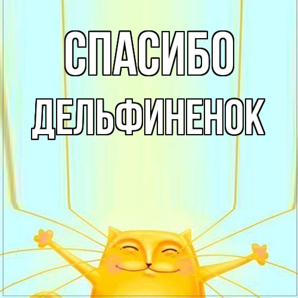 Открытка на каждый день с именем, дельфиненок Спасибо кот с усами благодарит Прикольная открытка с пожеланием онлайн скачать бесплатно 