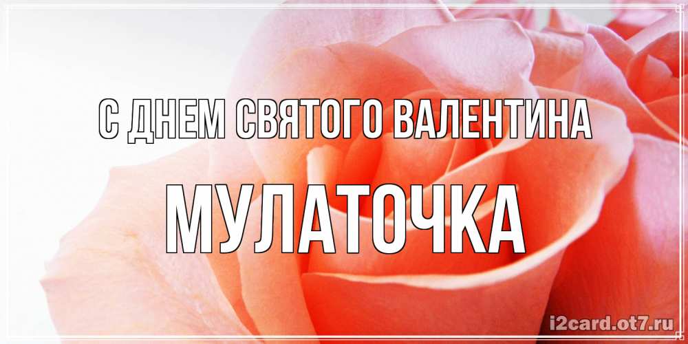 Открытка на каждый день с именем, Мулаточка С днем Святого Валентина открытка на день Святого Валентина с розовой розой Прикольная открытка с пожеланием онлайн скачать бесплатно 