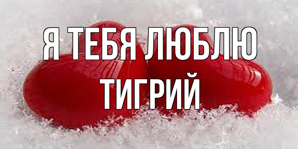 Открытка на каждый день с именем, Тигрий Я тебя люблю вечная любовь Прикольная открытка с пожеланием онлайн скачать бесплатно 