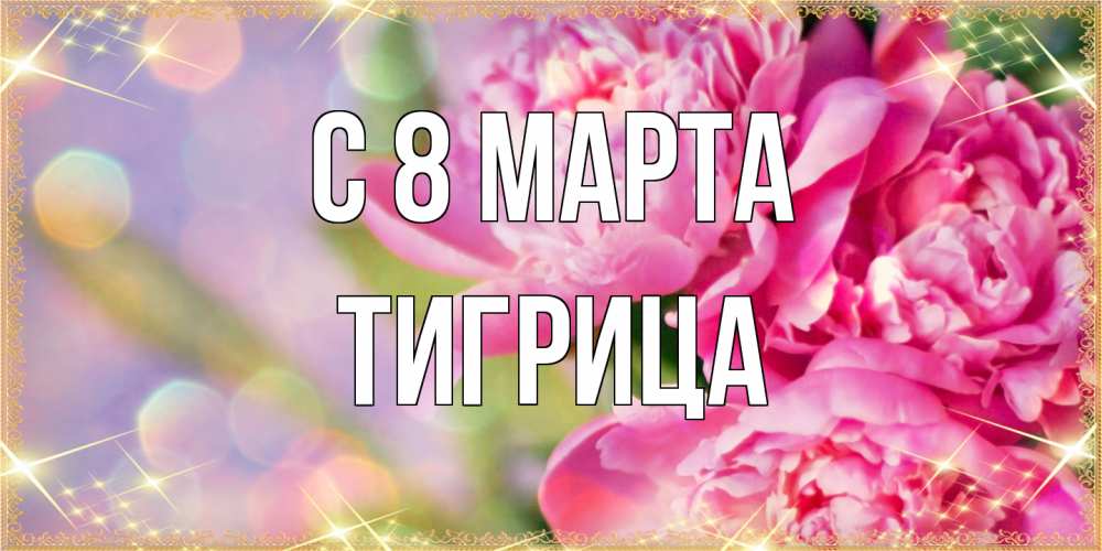 Открытка на каждый день с именем, Тигрица C 8 МАРТА красивые открытки с текстом для любимых дам Прикольная открытка с пожеланием онлайн скачать бесплатно 