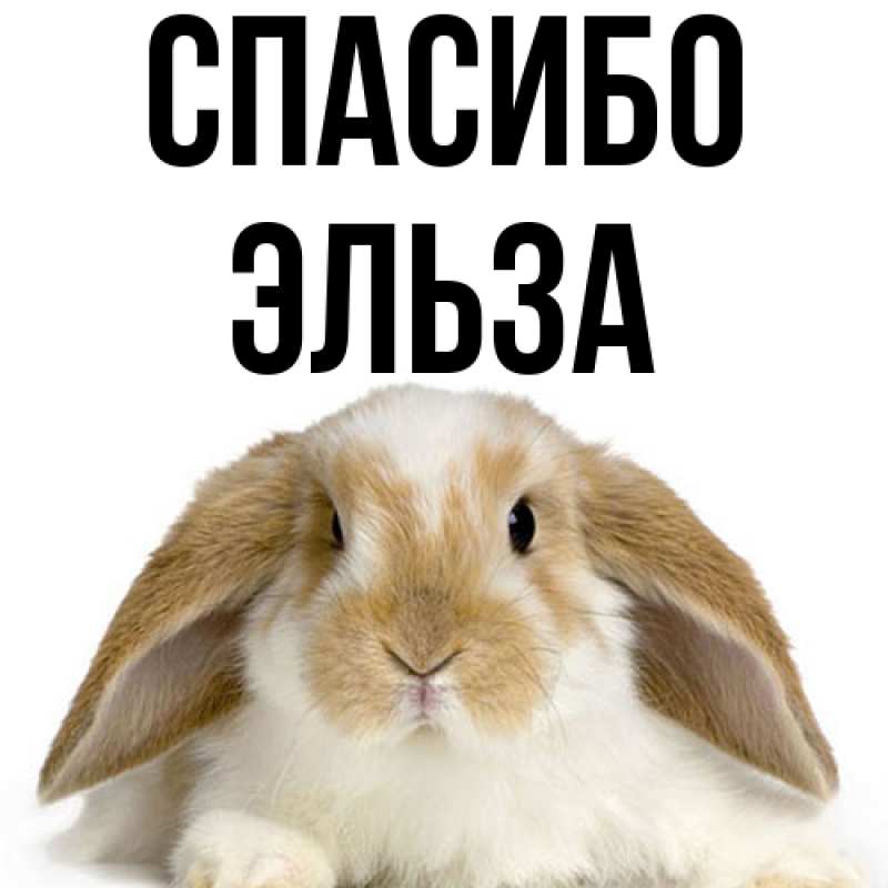 Картинка Спасибо, Эльза