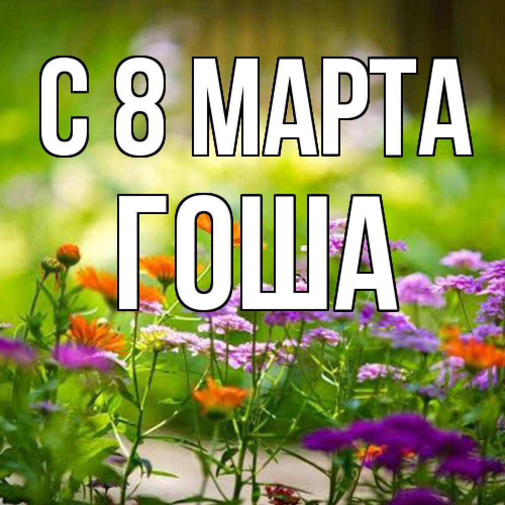Открытка на каждый день с именем, Гоша C 8 МАРТА цветы Прикольная открытка с пожеланием онлайн скачать бесплатно 