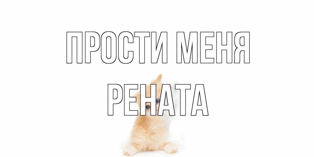 Открытка на каждый день с именем, Рената Прости меня кот Прикольная открытка с пожеланием онлайн скачать бесплатно 